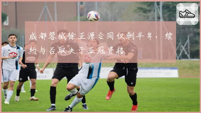 成都蓉城徐正源合同仅剩半年,续约与否取决于亚冠资格