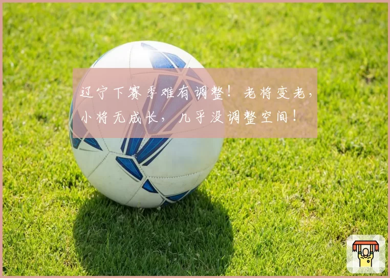 辽宁下赛季难有调整！老将变老，小将无成长，几乎没调整空间！